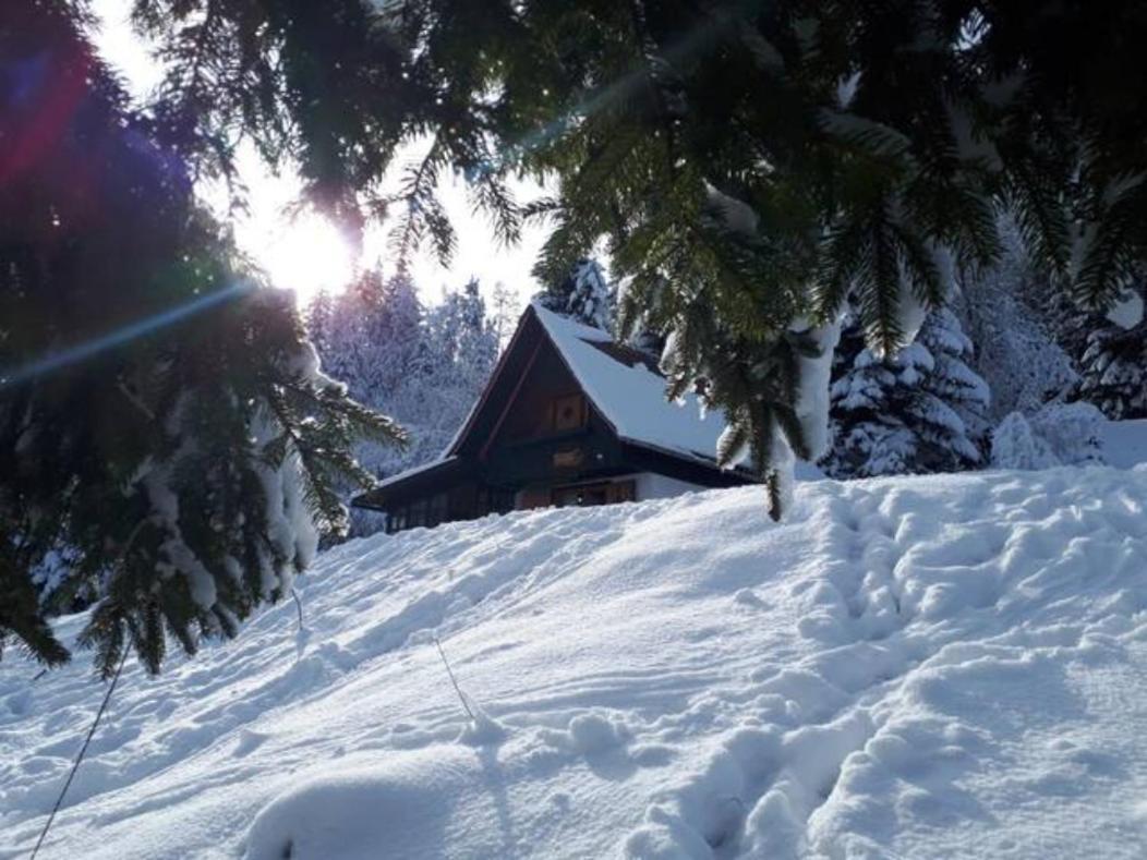Zgornje Gorje Fairytale Cottage - Peaceful Getaway Near Bled מראה חיצוני תמונה